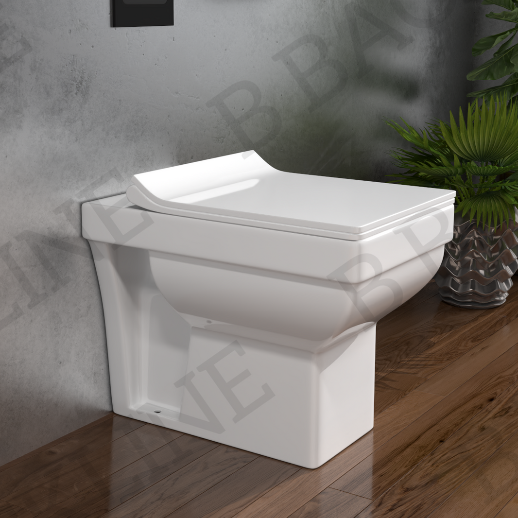 Ewc Commode Western Toilet - A wide range of floor mounted EWC.
