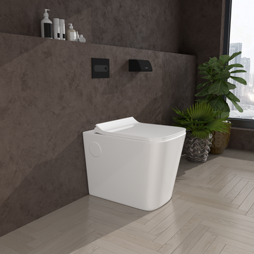 B Backline Ceramic Western EWC Floor Mounted Toilet Commode S-Trap