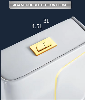 Ceramic One-Piece Rimless Western Toilet Commode Siphonic Flushing System Water Closet