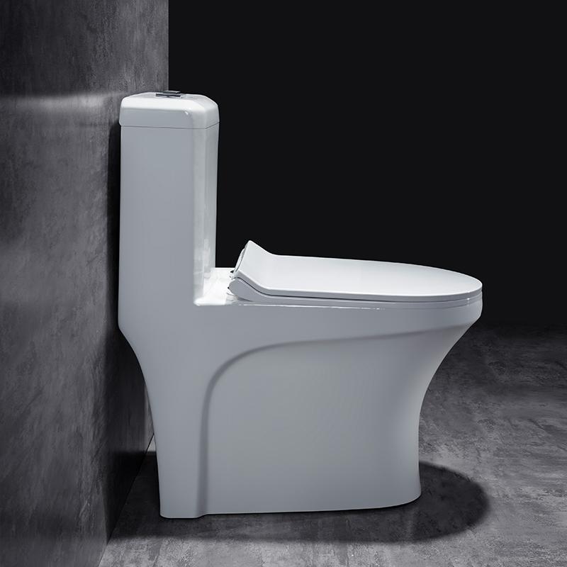 Ceramic One Piece Floor Mounted European Water Closet/Commode With Syphonic Tornado Flushing For Bathroom 9 Inch S-Trap - Bath Outlet