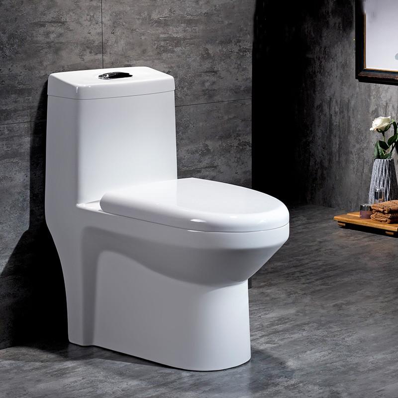 Ceramic One Piece Floor Mounted European Water Closet/Commode For Bathroom 9 Inch S-Trap - Bath Outlet